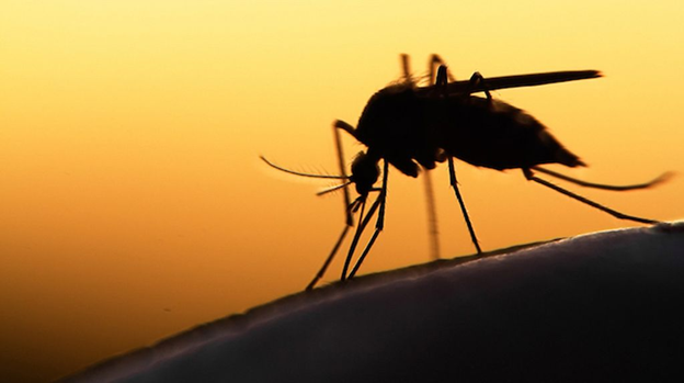 Help Defend Your Outdoor Lifestyle with Cincinnati Mosquito Control