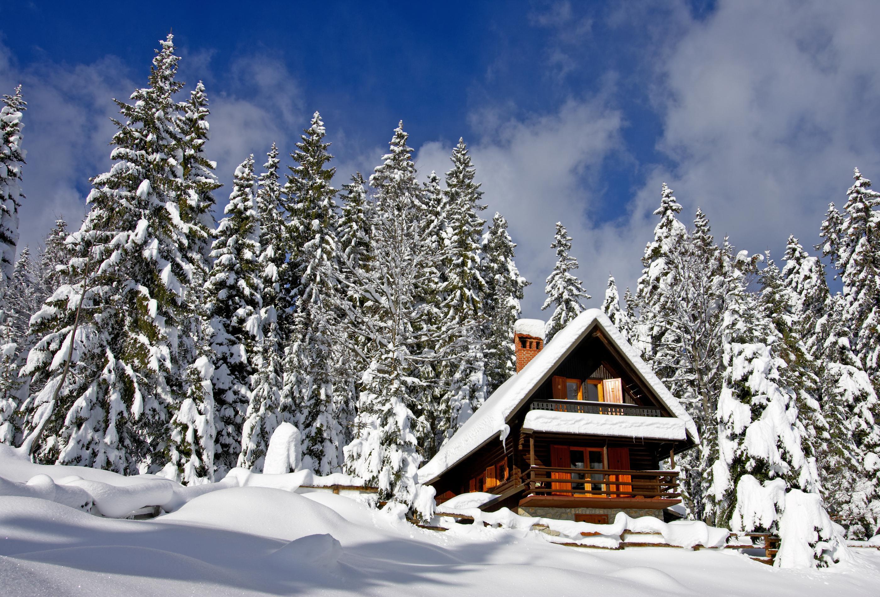 Pest Problems in Winter Vacation Homes