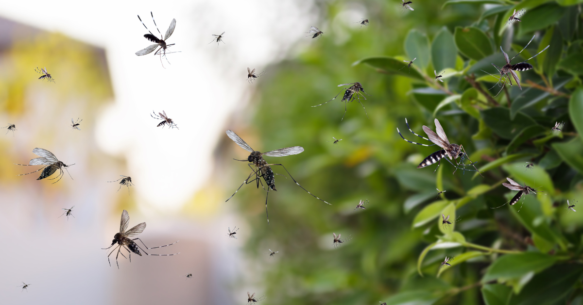 Buzz Off! How to Brave the Great Outdoors with a Smile.