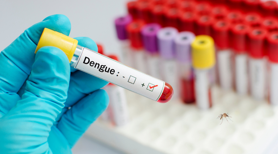 Is Dengue Fever in Massachusetts a Cause for Concern?