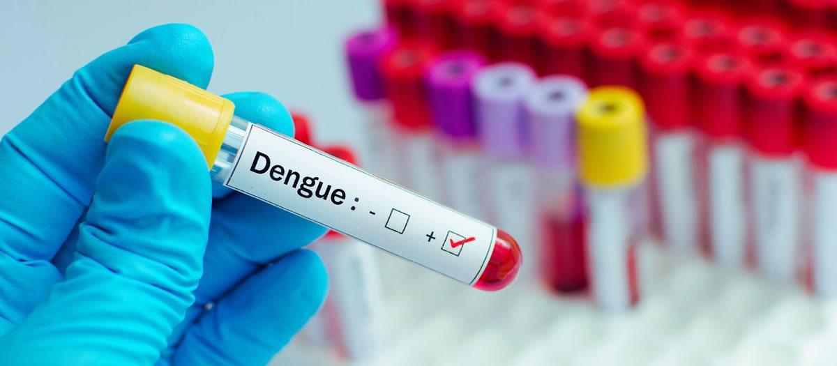 Could I Contract Dengue in Las Cruces?