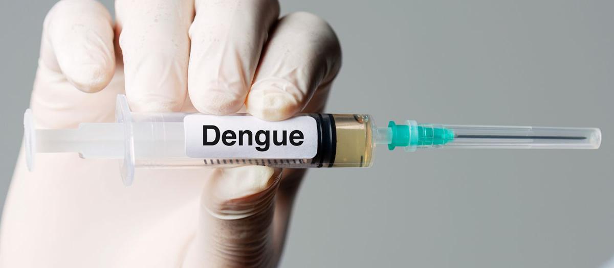 Is Dengue Fever in Florida?