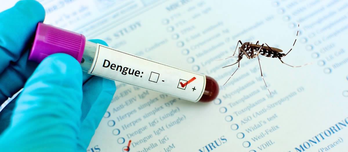 Dengue in NJ, Precaution Recommended