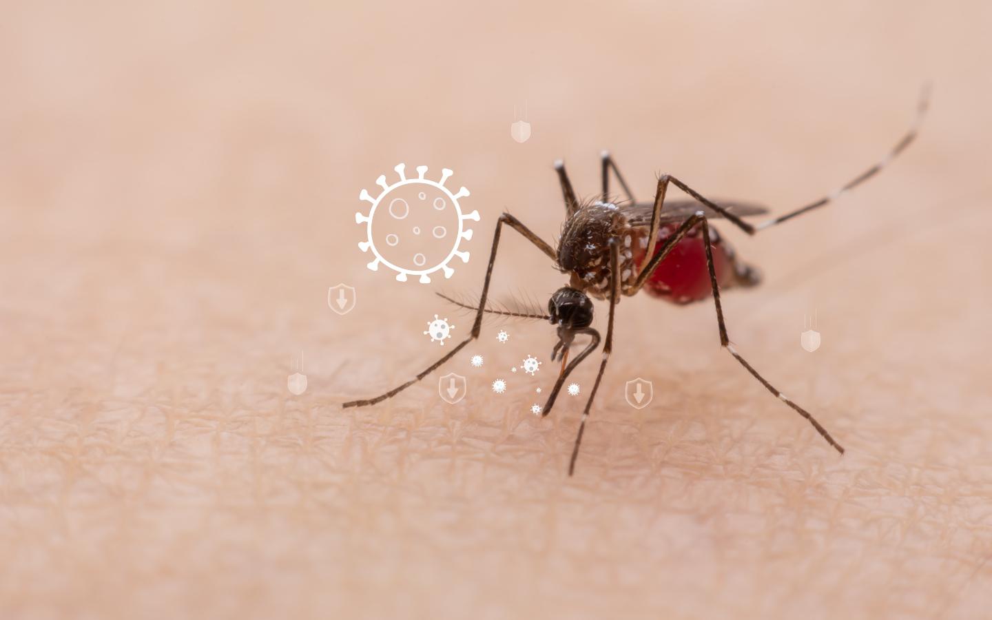 Creating a Comfortable Outdoor Lifestyle with Mosquito Control in Milton