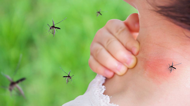 FAQs About Cincinnati Mosquito Control