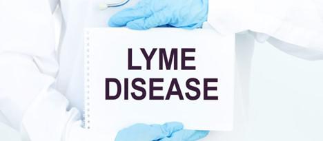 How Prevalent is Lyme Disease in Tennessee?