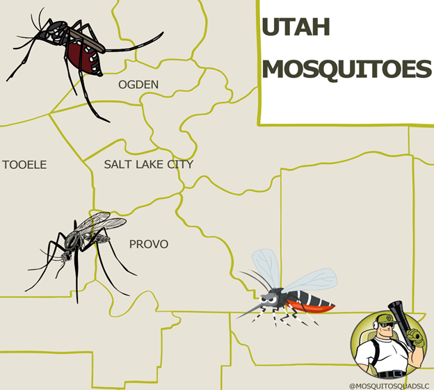 Stay Safe: Your Essential Guide to Mosquito-Borne Diseases in Utah