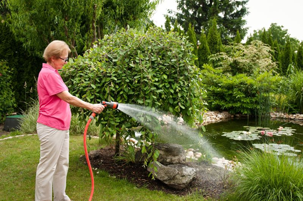 Take Control of Your Yard This Season with Mosquito Squad Tick Control Services