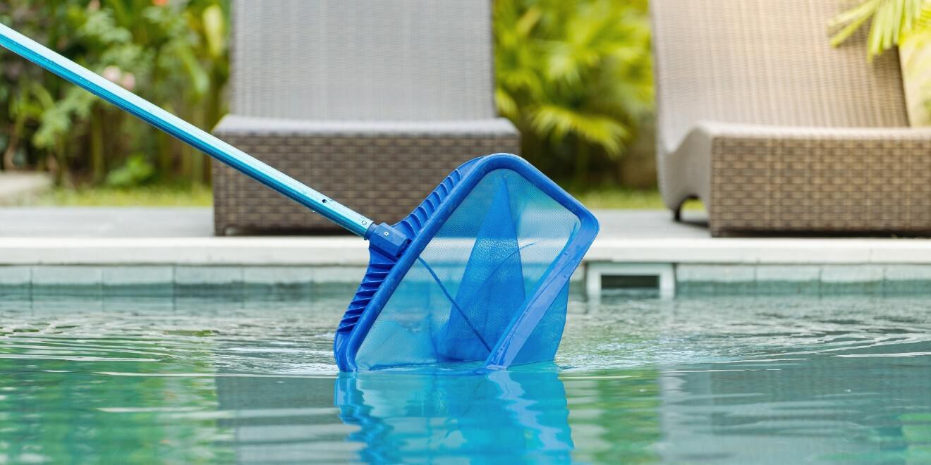 Your Summertime Guide to Avoid Pool Bugs