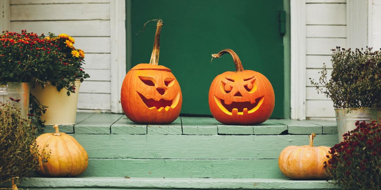 How to Keep Bugs Away from a Carved Pumpkin