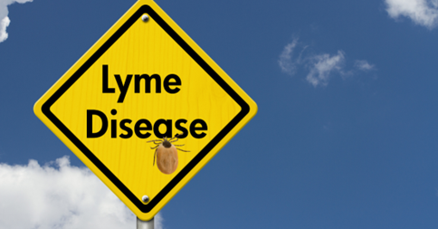 How Weather Influences Tick Populations and Lyme Disease Risk