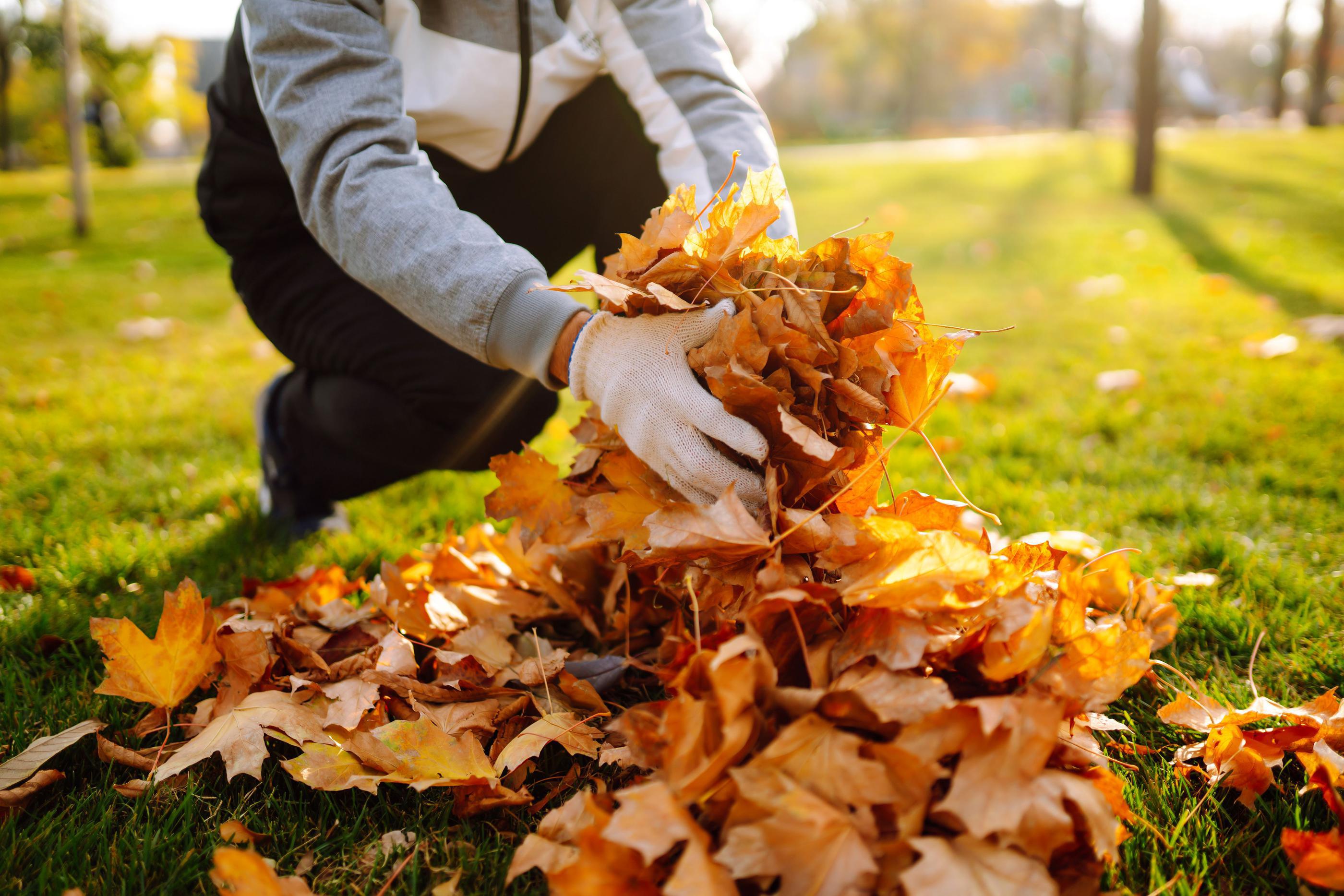 How to Prepare Your Yard for Winter