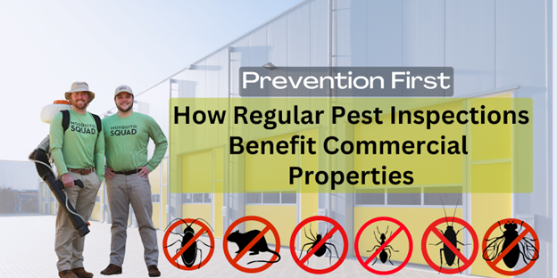 Prevention First: How Regular Pest Inspections Benefit Commercial Properties