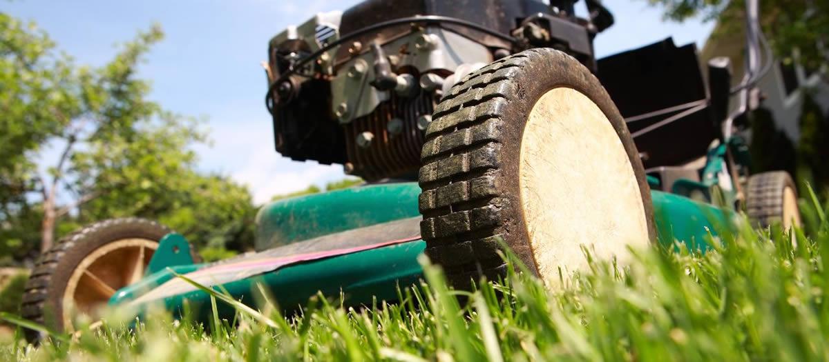 Should I Mow Before Mosquito Control?