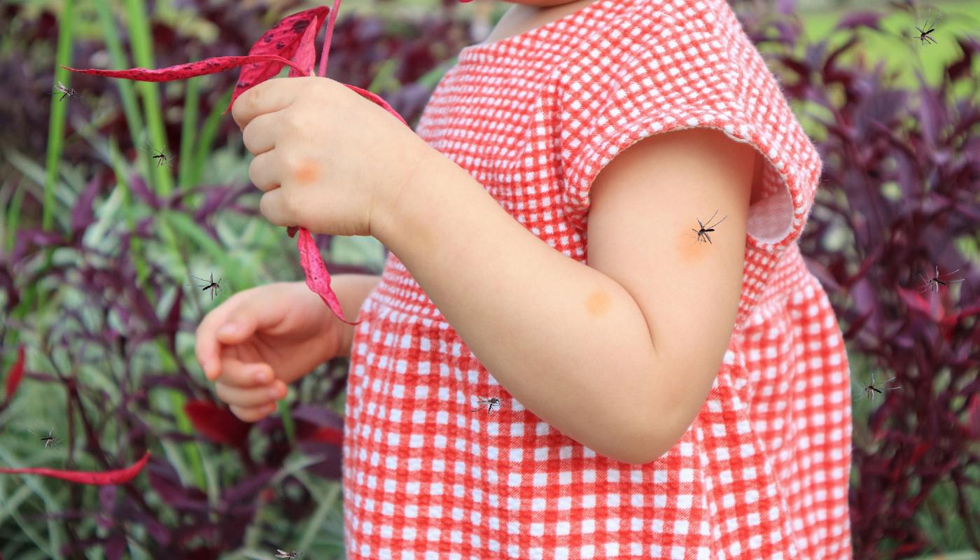 A child holding a string with mosquitoesDescription automatically generated